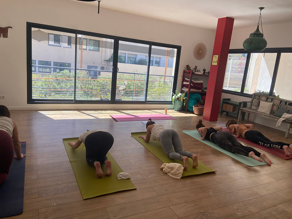 Vinyasa Flow