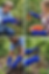 Thumbnail: Long sleeve stab resistant garden gloves
