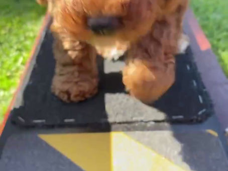 Outside play on a sunny day!