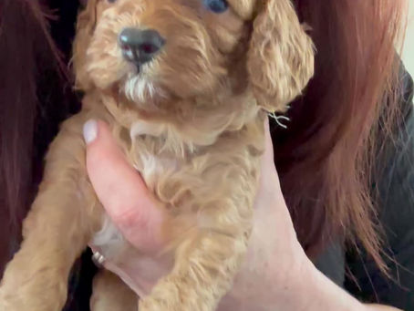 Just some selfies after having a delicious dinner and doing our handling exercises 🥰