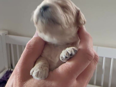 We have some eyes opening!