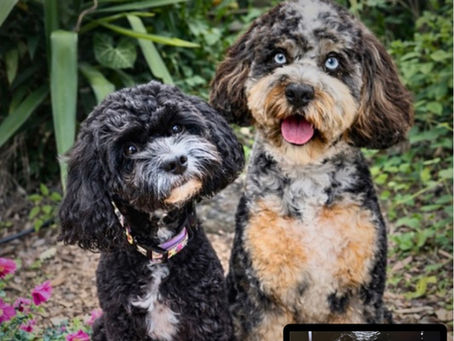 We are so excited to share a little update on beautiful Waves