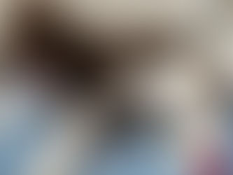 It’s all happening! Sundae’s puppies are arriving!