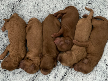 Everyone needs a hug 🥰