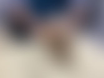 Vaccination, microchip and vet check!