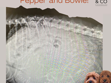 And it’s a head count of 6!