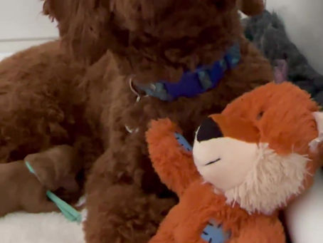 Saturday morning update 🥰