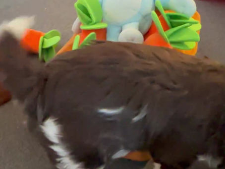 Introduction to puzzles!