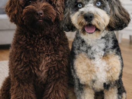 Exciting news coming soon!