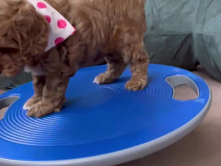 Activity Time activity-time