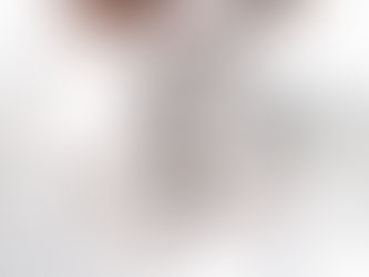 Cavoodles come in a wide range of colours. Here is our guide on selecting your favourites.