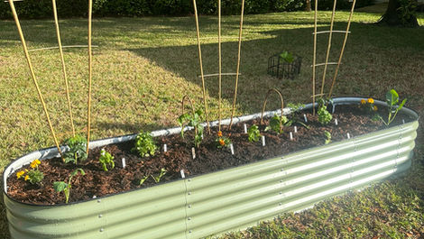 Raised Vegetable Bed