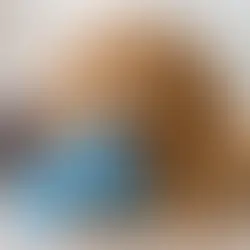 Πότε αλλάζουν δόντια τα κουτάβια και τι να περιμένετε