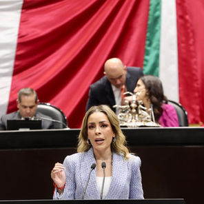 DIPUTADA VERÓNICA MARTÍNEZ URGE UNA ESTRATEGIA NACIONAL CONTRA FEMINICIDIOS