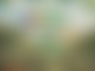 Feliz Día de Andalucía