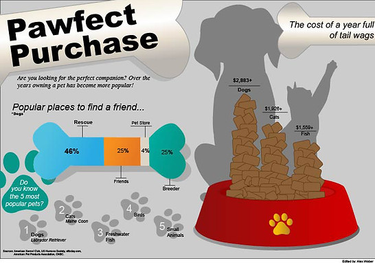 Pawfect Purchase edited Alex.jpg