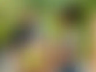 PriceSmart Grocery Delivery in Montego Bay – Shop Smarter Without the Kingston Trip