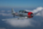 T-6 Rides - Binghamton NY 2026