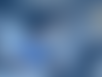 HR Consultant reviewing a client's policies and procedures