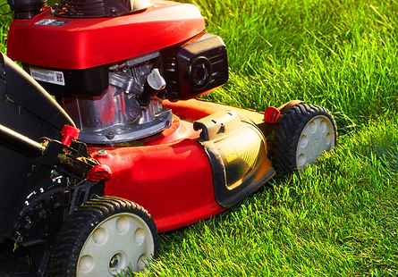 WOLFGREEN LAWN SERVICE (3).png