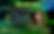 RT Evite.png