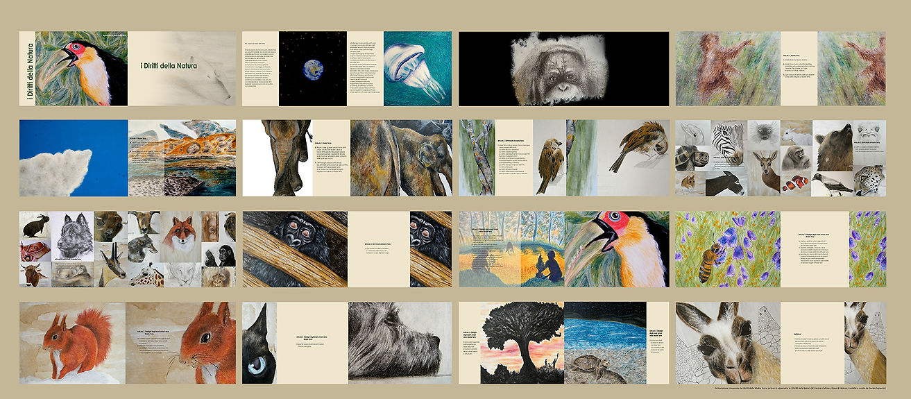 manifesto diritti natura web.jpg