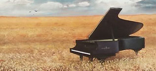 Grand piano in the wheat
