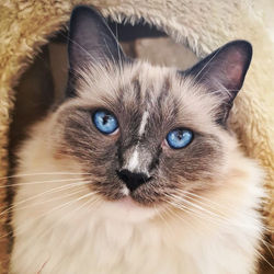 60acc982-d569-4348-8222-c76f70bbc041