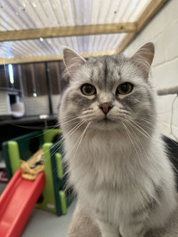 ce6e7a4d-7543-4e7e-b5eb-1f9907012d76