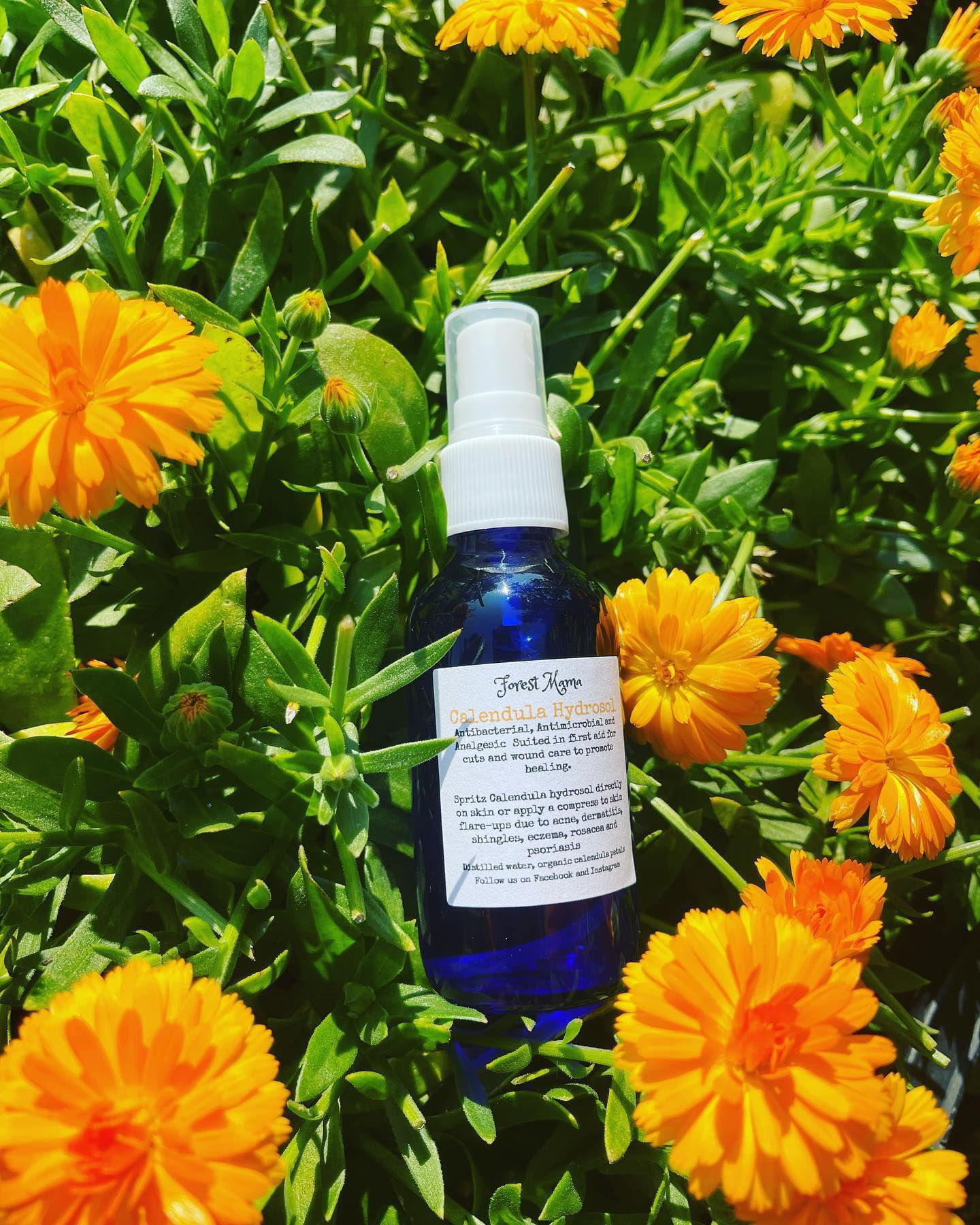 Organic Calendula Hydrosol