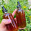 Thumbnail: St Johns Wort Oil 4oz 