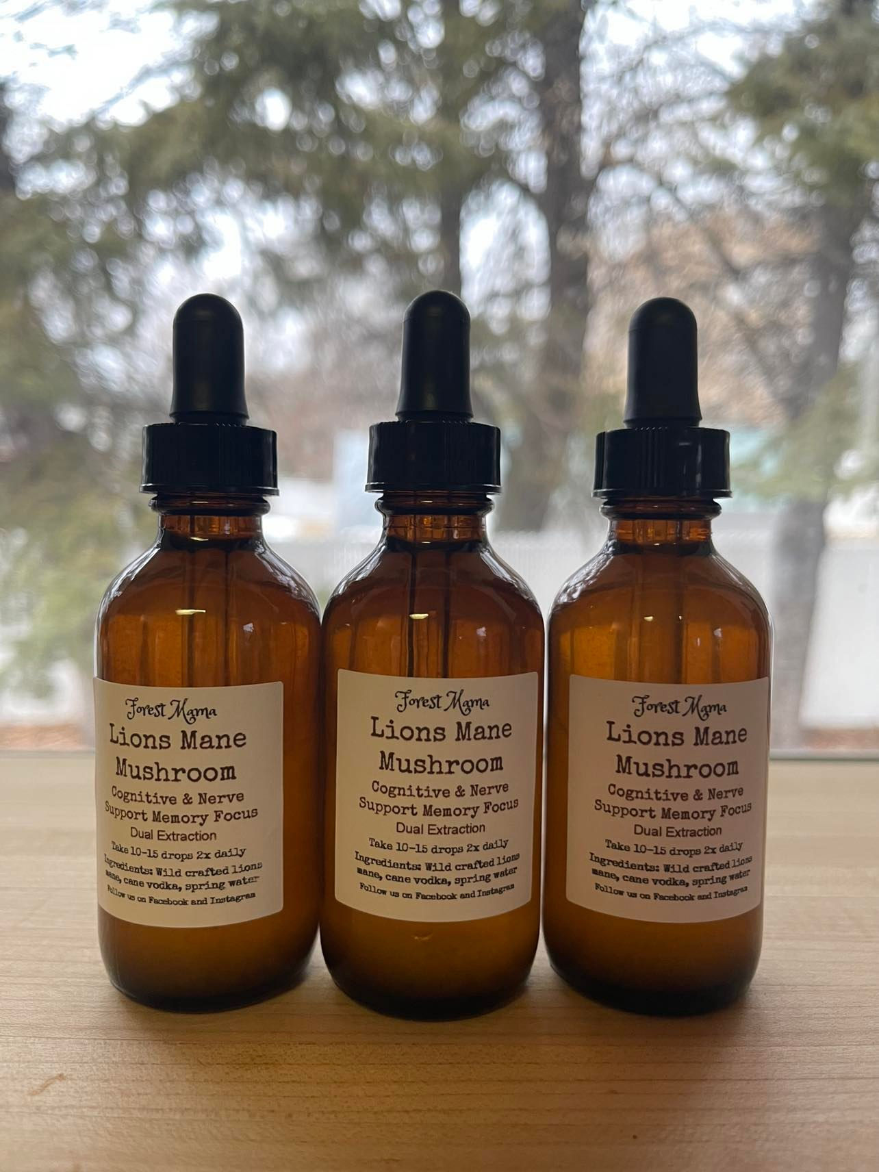 Lions Mane Mushroom Tincture 2oz