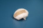 A model brain with a bandage on top sits against a blue background, illustrating vulnerability and healing.