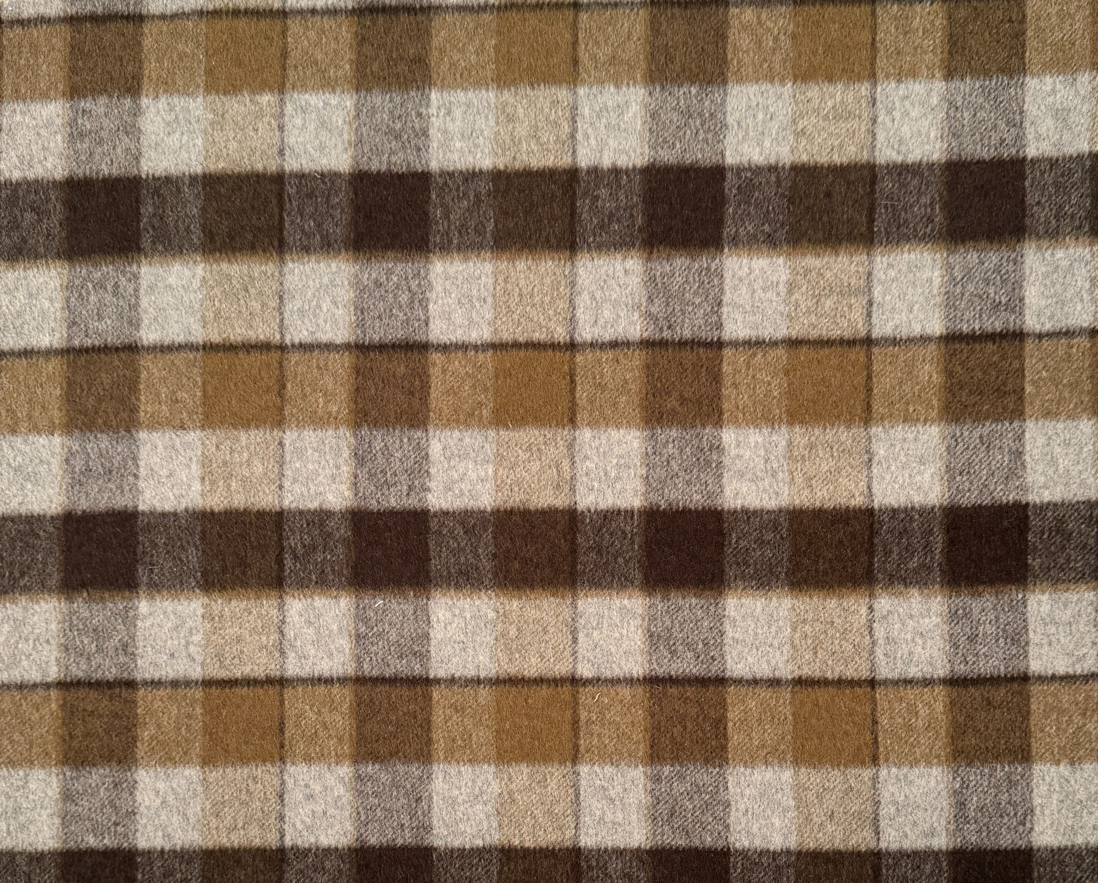 Preston Plaid