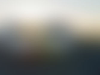 Hurricane-Resistant Roofing Materials for Florida Homes