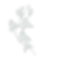 9_edited_edited.png