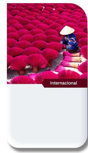 WIX VIAGENS NTOUR (1).png