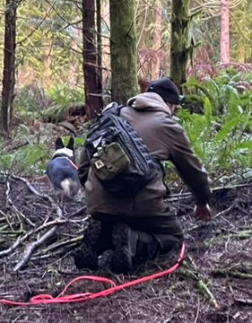 Joint Truffle Hunt 2.JPEG