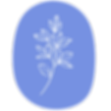 Icon 1 - Hydrangea (1).png