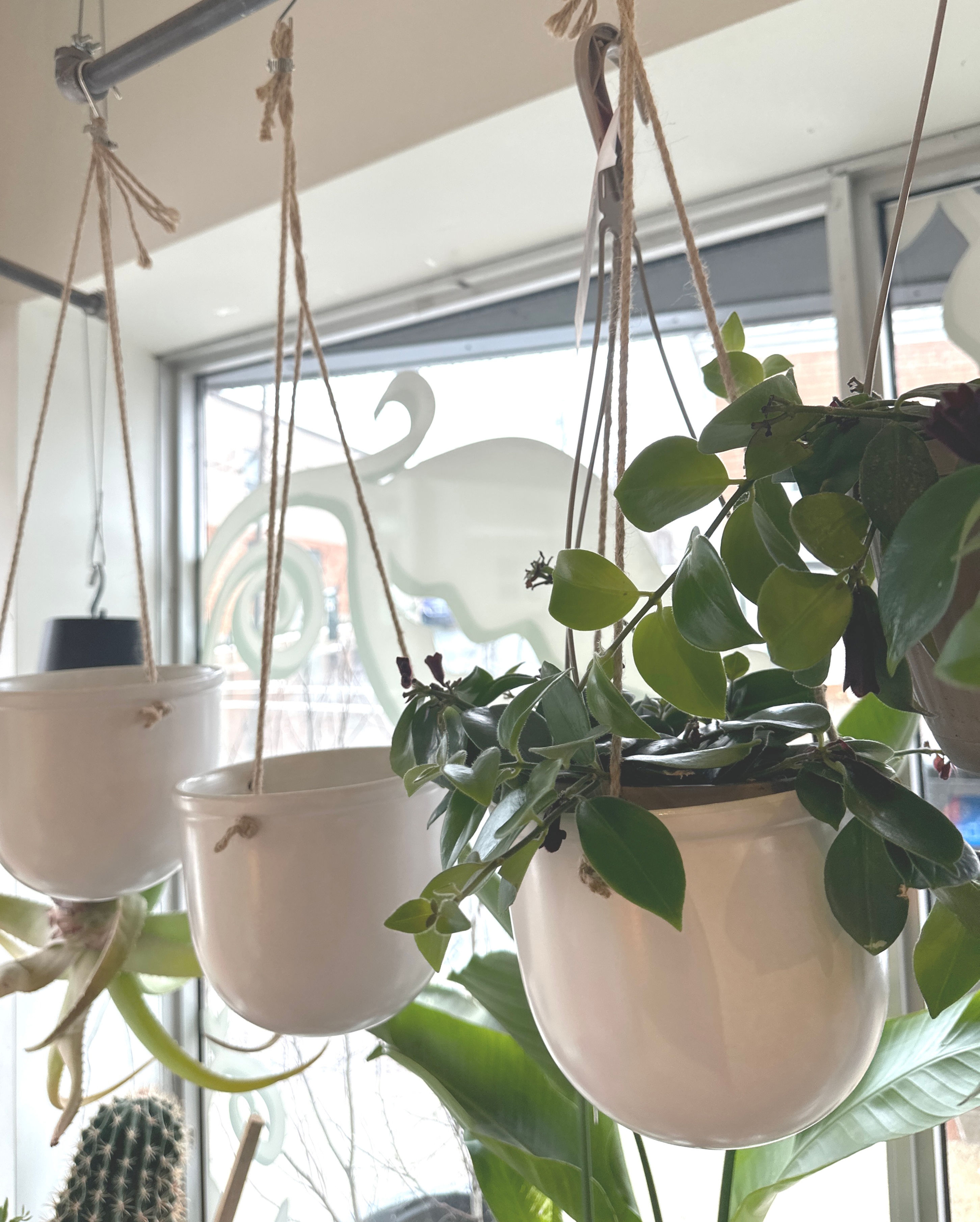 White 6” Hanging Ceramic Pot 