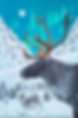 La vie des caribous merveilleux