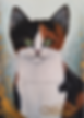 Petit chat aux longues moustaches