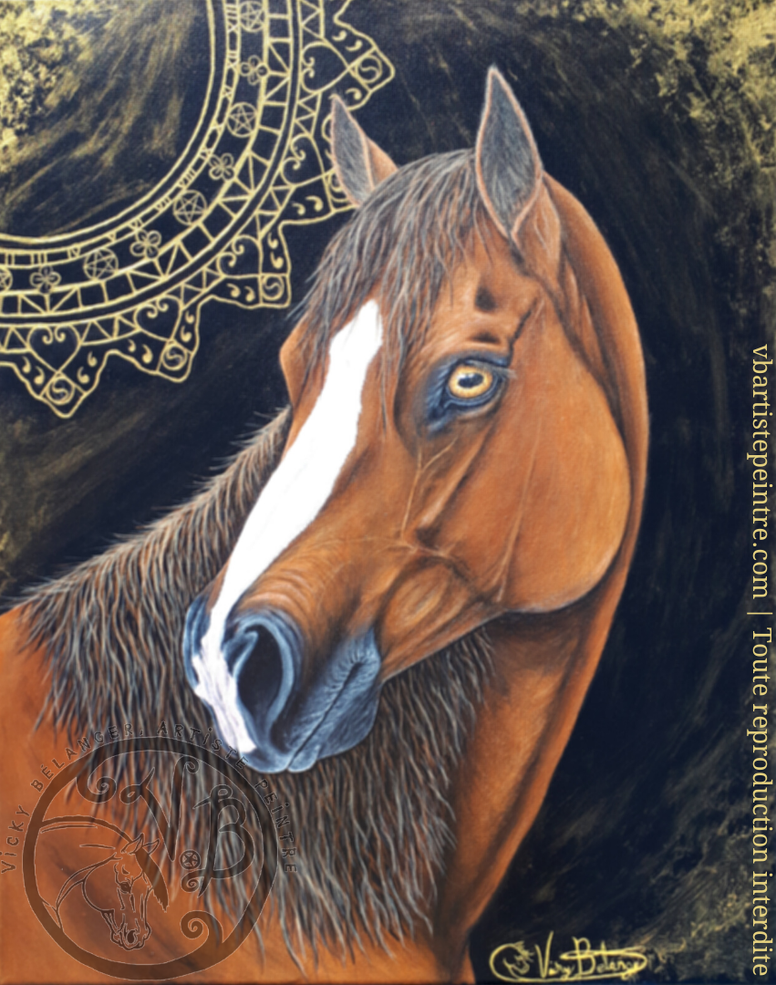 REGARD ATTENTIF, CHEVAL 15(non disponible)