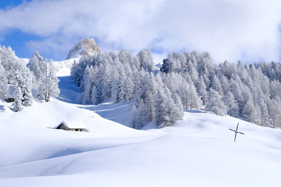 Toujours cet alpage magnifique du Queyras, dans une ambiance feutrée - Copyright Nicolas Bouin