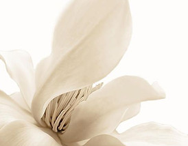 7efcac3100f69ed539ed70927c550d20.jpg