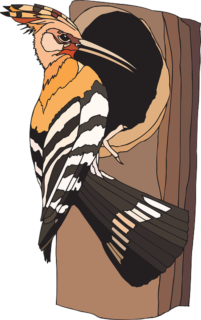 žolna-pomen-videnja-živali-vibracijeduse.si