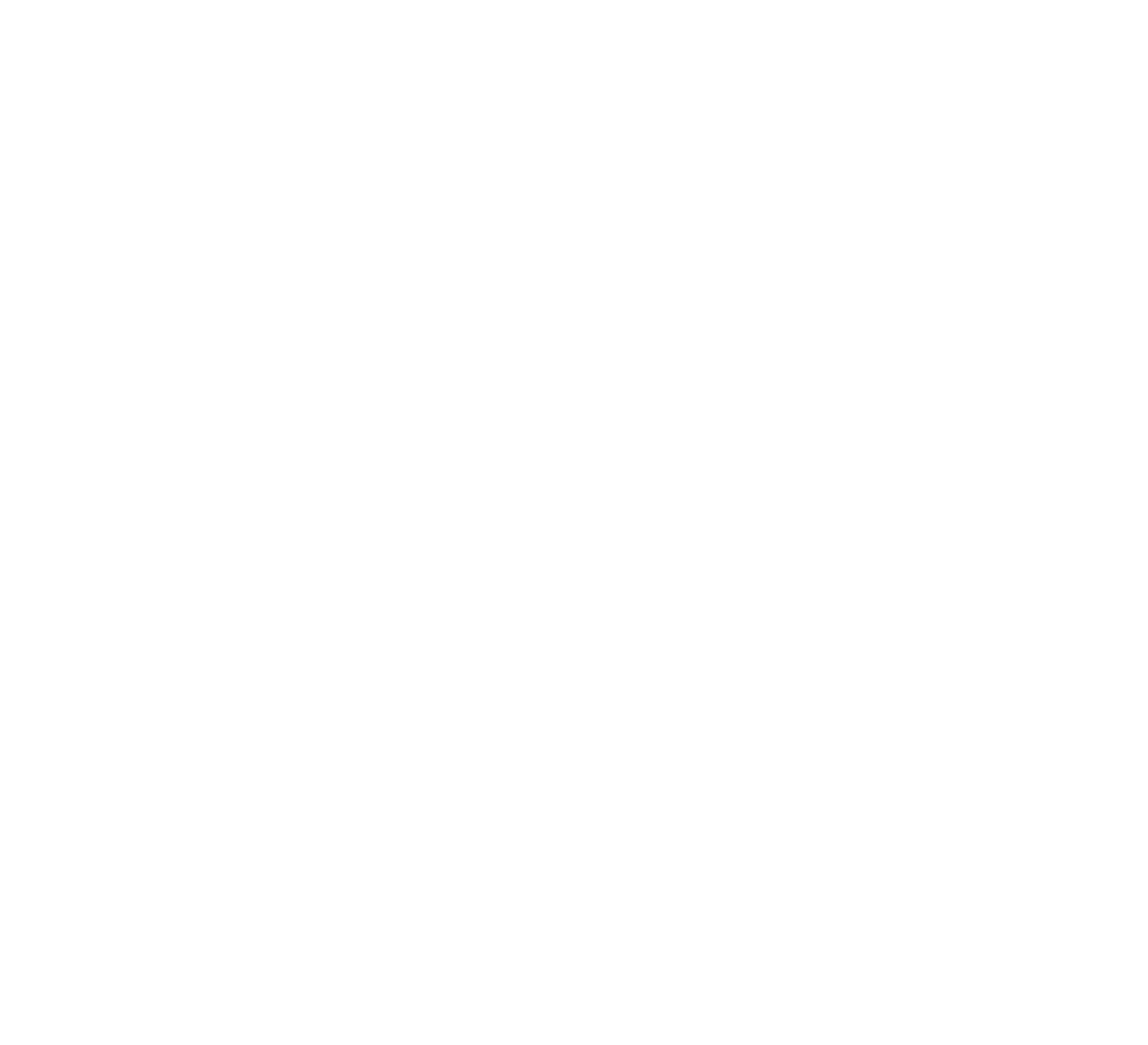 Logo_Barandeh_V2_White.png