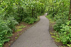 Galloway Creek Greenway Trail-SR-_K5D6980.jpg