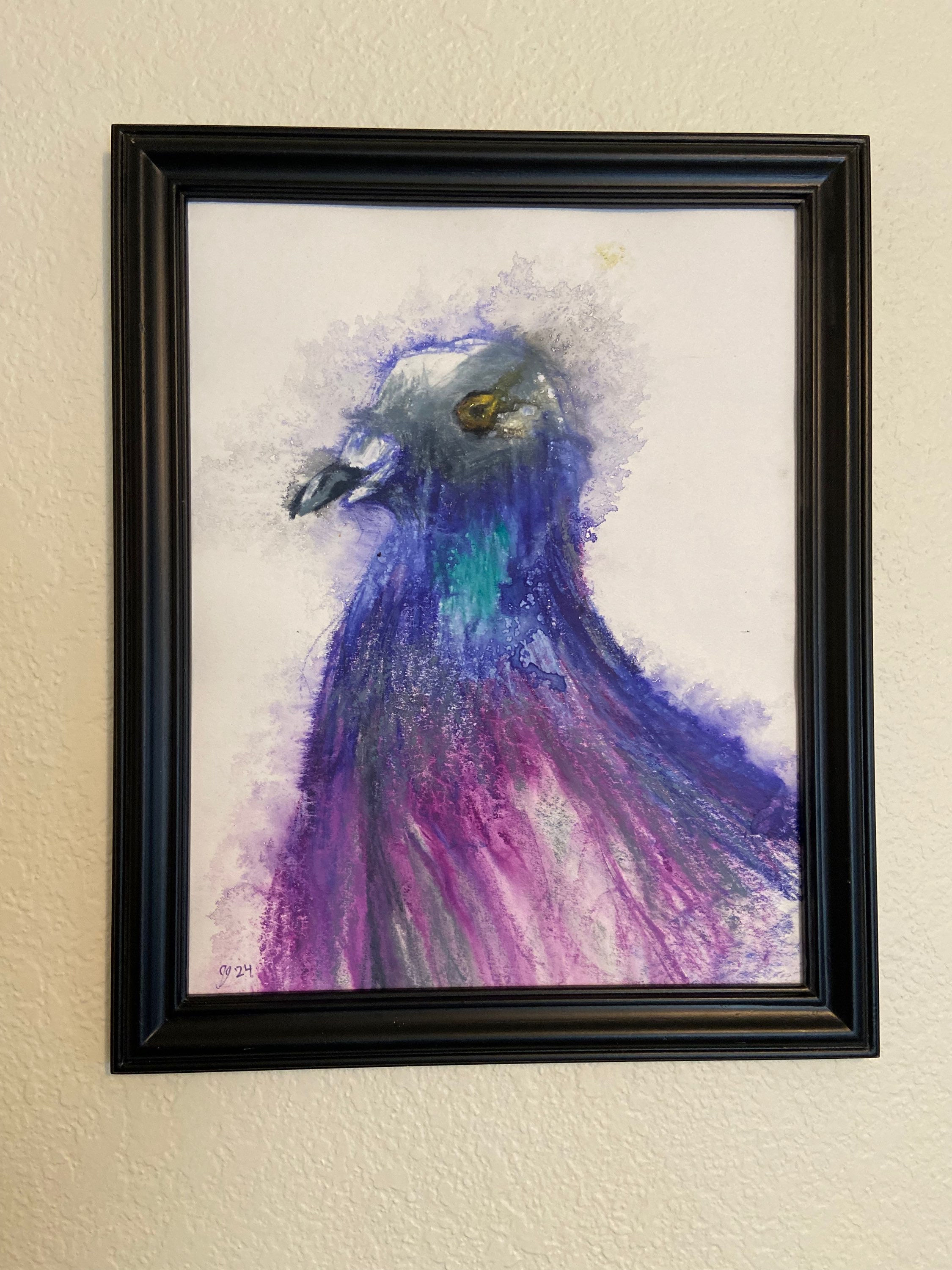 A Distinguished Pigeon 