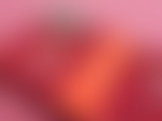 Diário da Seleção